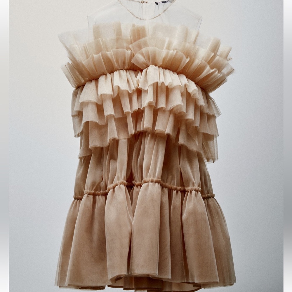 Zara New York Ballet Exclusive Tulle Dress NWT